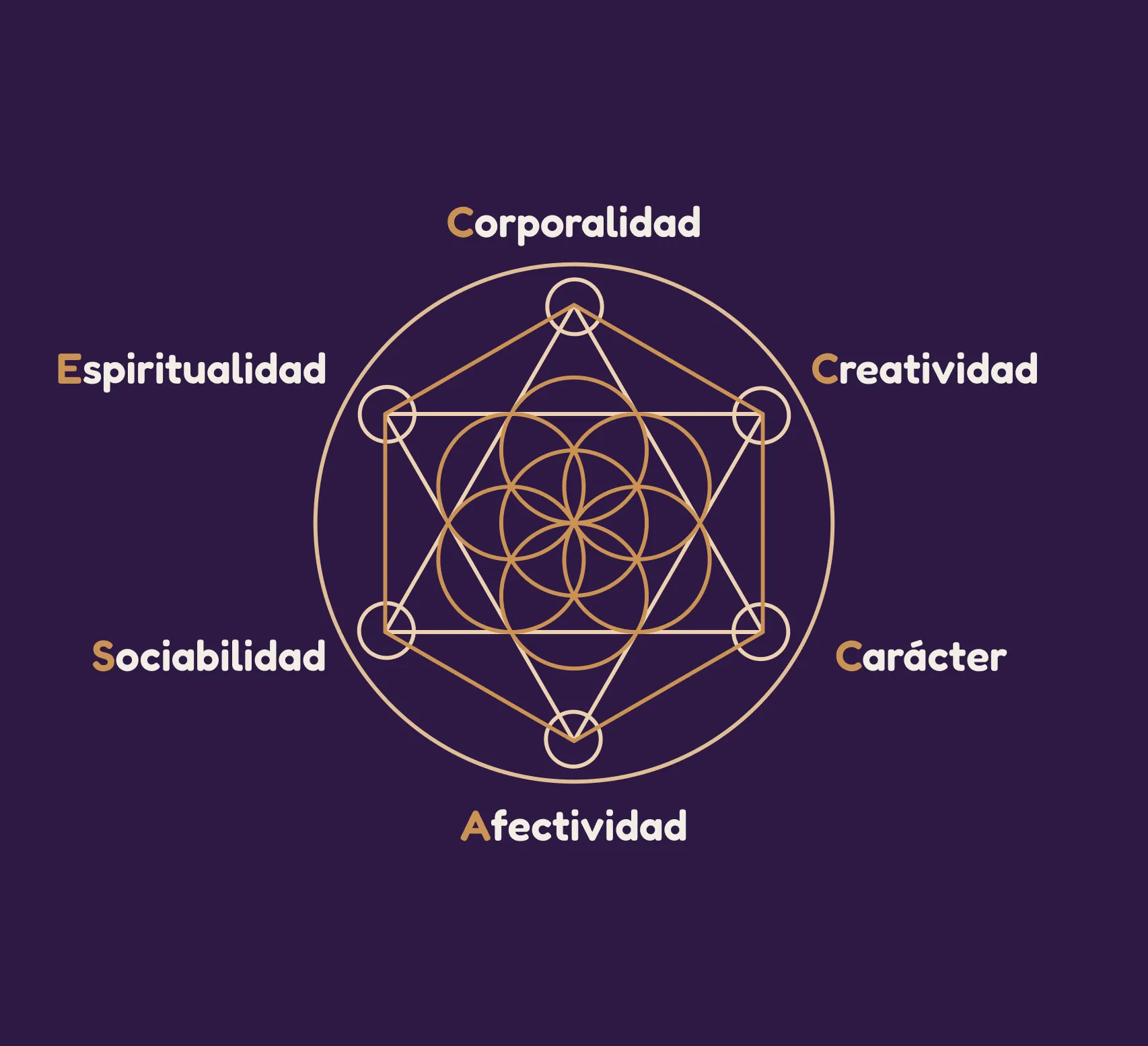 areas de crecimiento